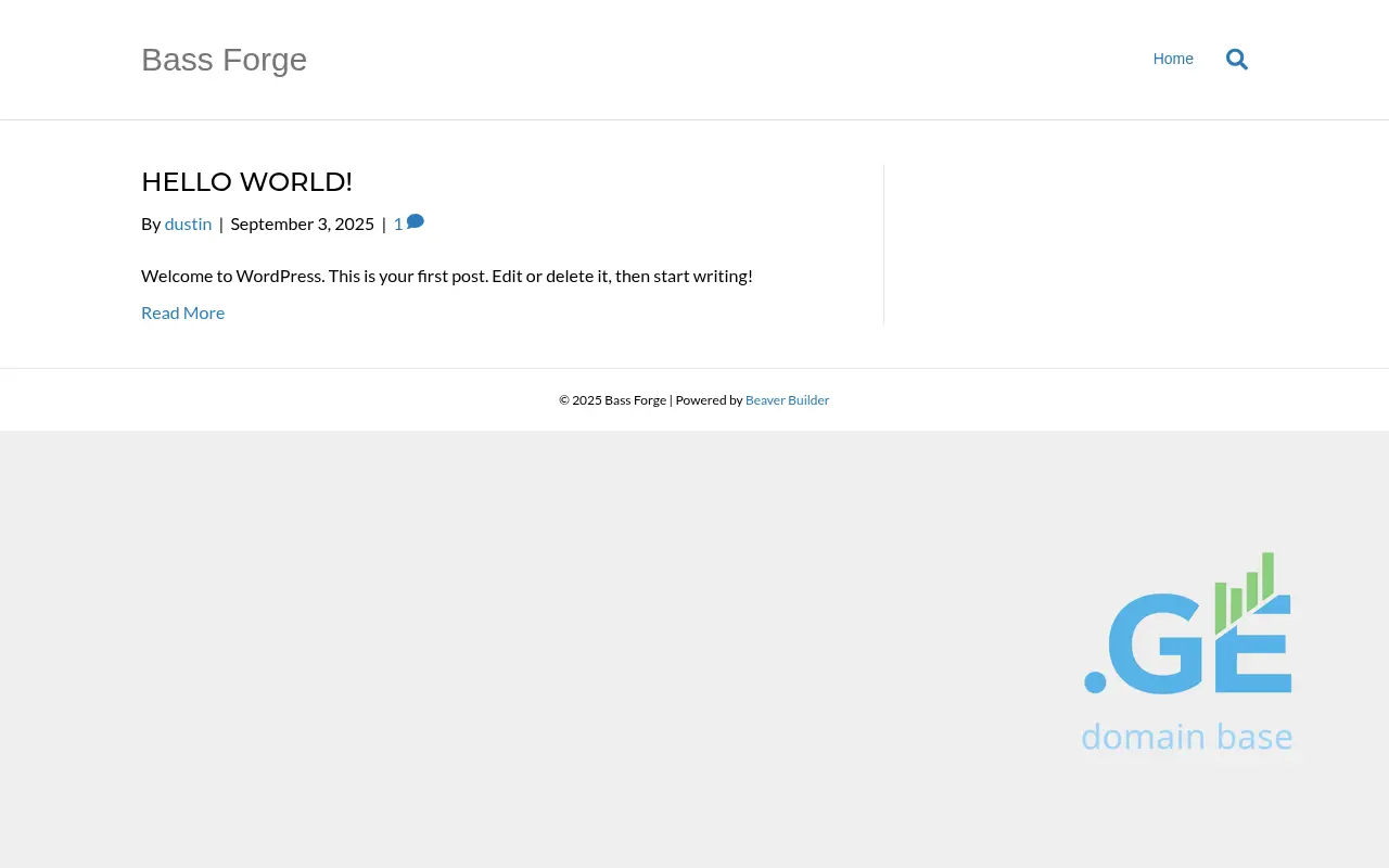 Screenshot of the site bassfor.ge