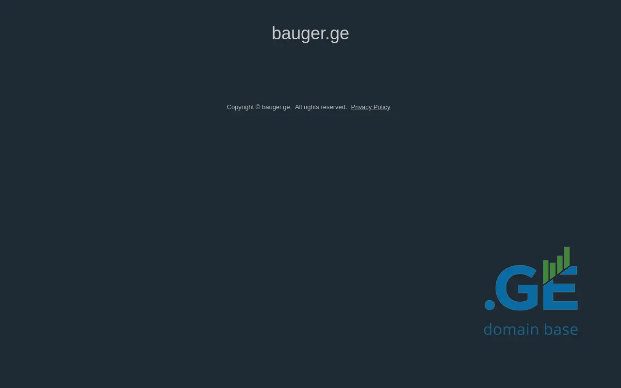 Screenshot of the site bauger.ge