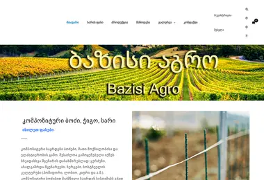 Screenshot of bazisi.ge