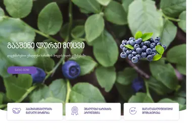 Screenshot of bbo.ge