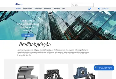 Screenshot of bearing.ge