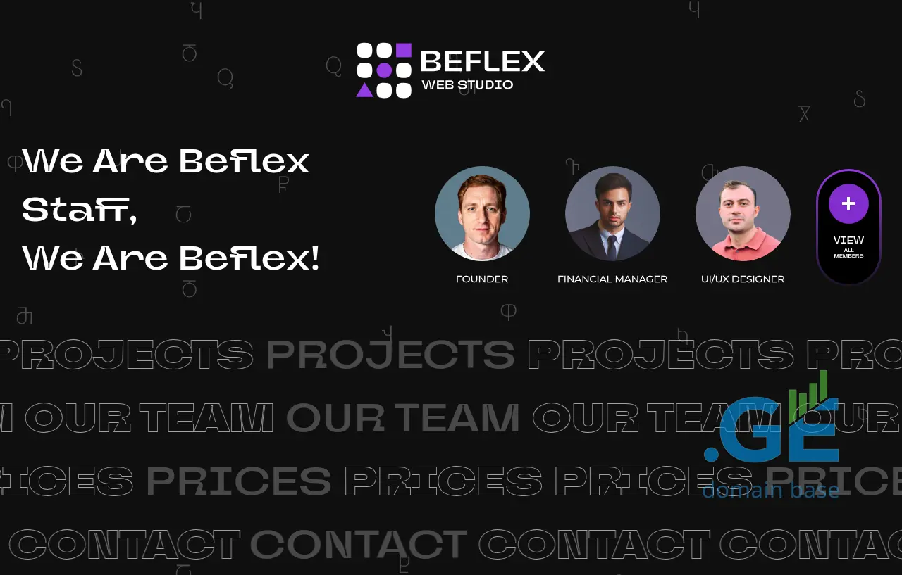 Screenshot of the site beflex.ge