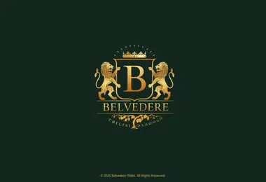 Screenshot of belvedere-tbilisi.ge