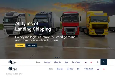 Screenshot of benegroup.ge