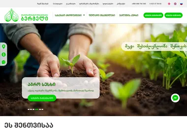 Screenshot of bermeli.ge