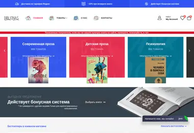Screenshot of biblionas.ge