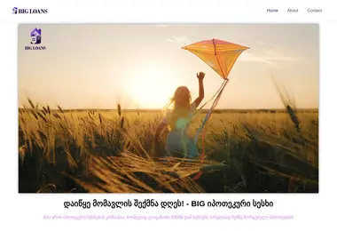 Screenshot of bigloans.ge