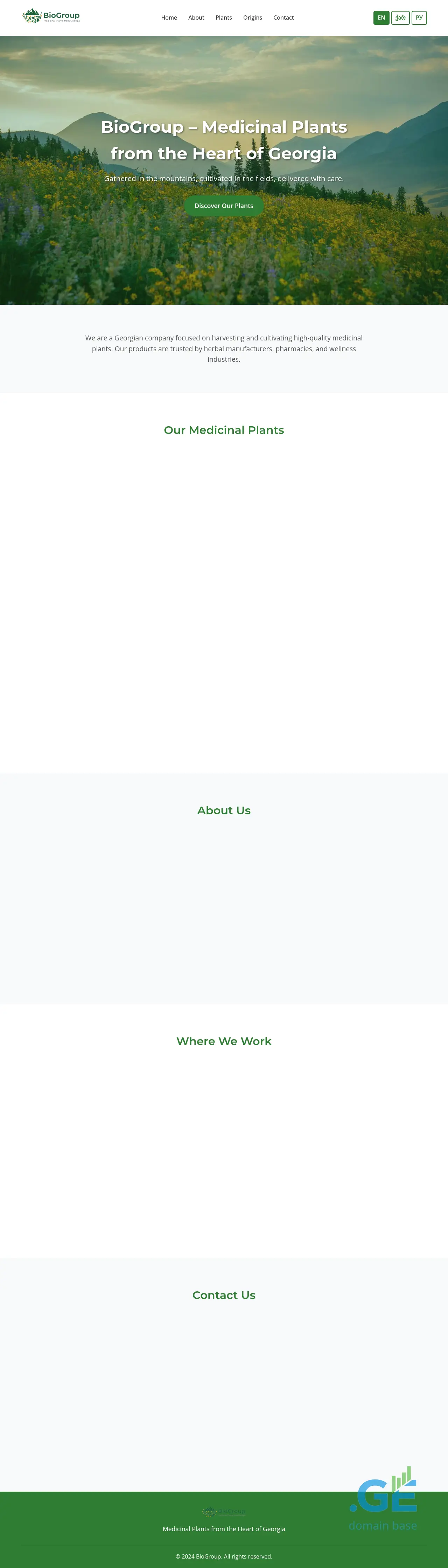Screenshot of the site biogroup.ge