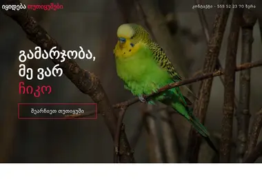 Screenshot of birds.ge