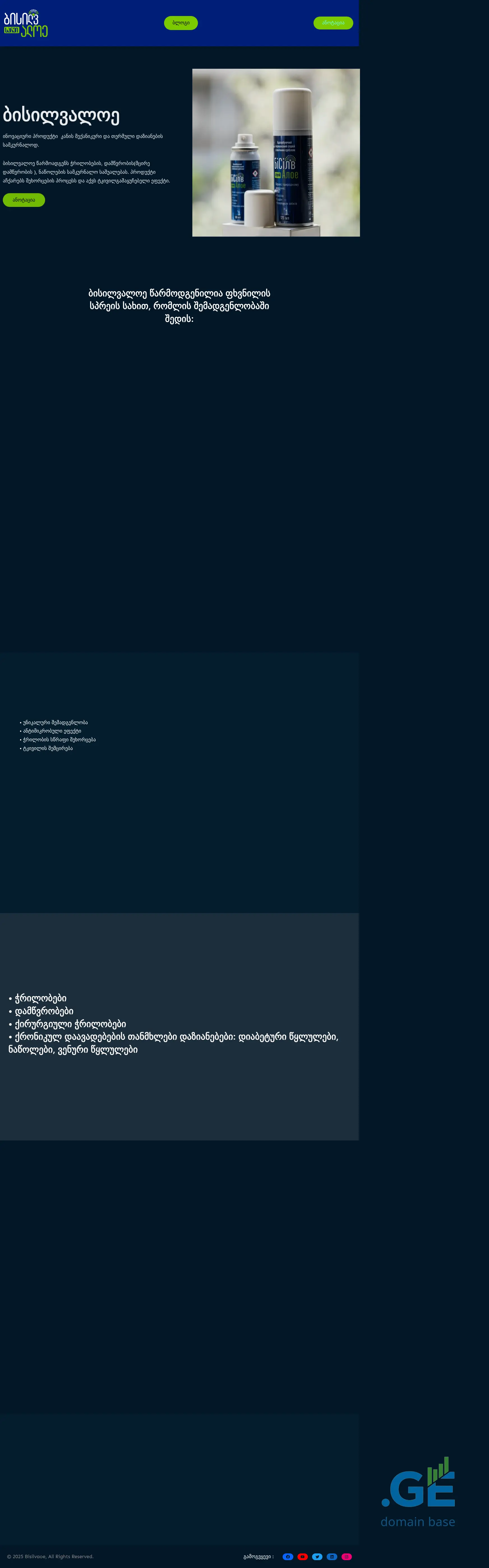 Screenshot of the site bisilvaloe.ge