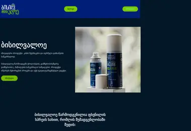 Screenshot of bisilvaloe.ge