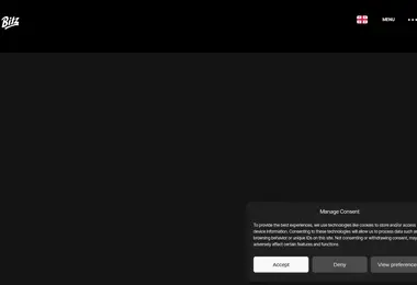 Screenshot of bitz.ge