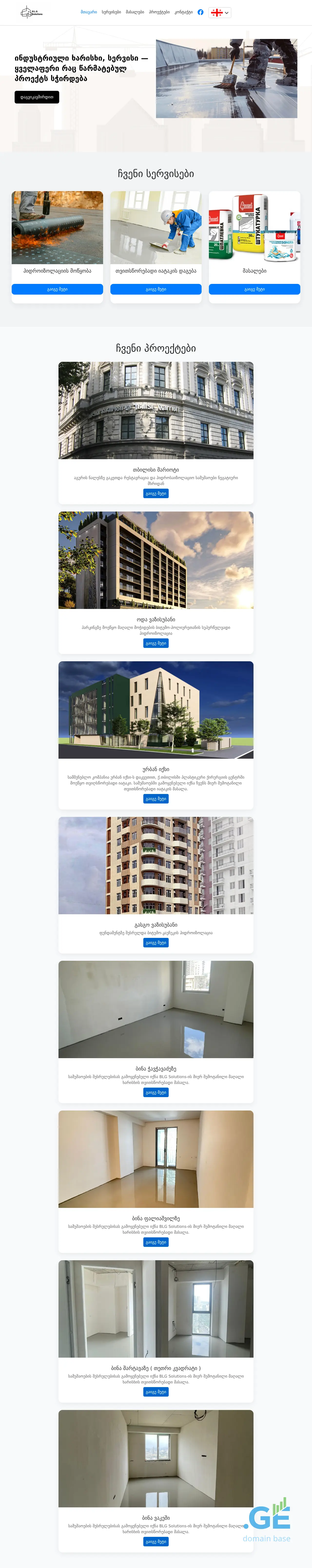 Screenshot of the site blg-solutions.ge