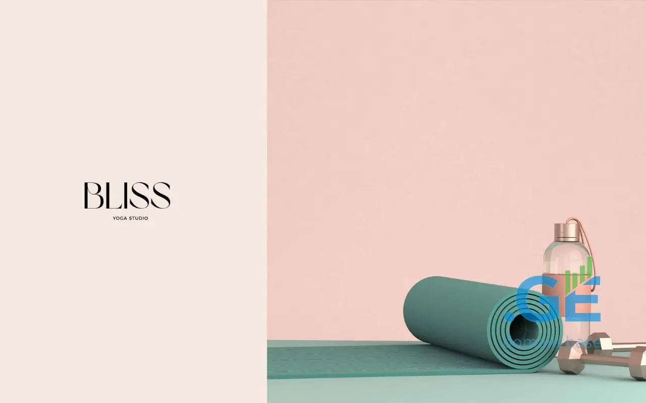 Screenshot of the site blissyoga.ge