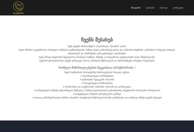 Screenshot of blue-bird.ge