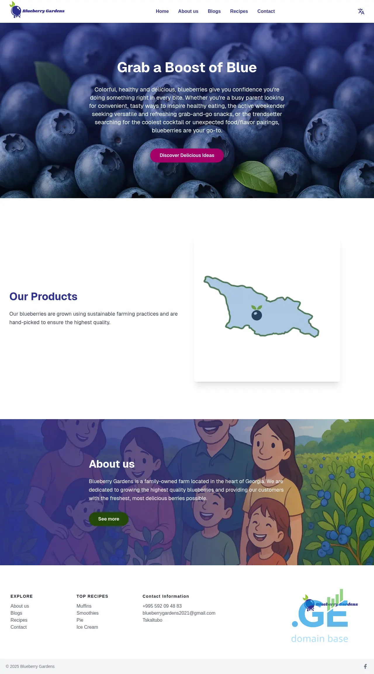 Screenshot of the site blueberrygardens.ge