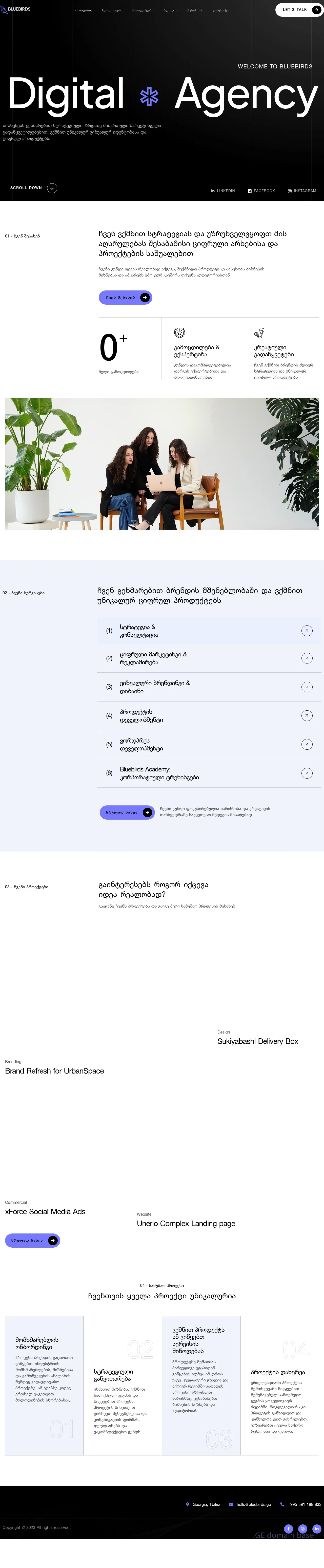 Screenshot of the site bluebirds.ge