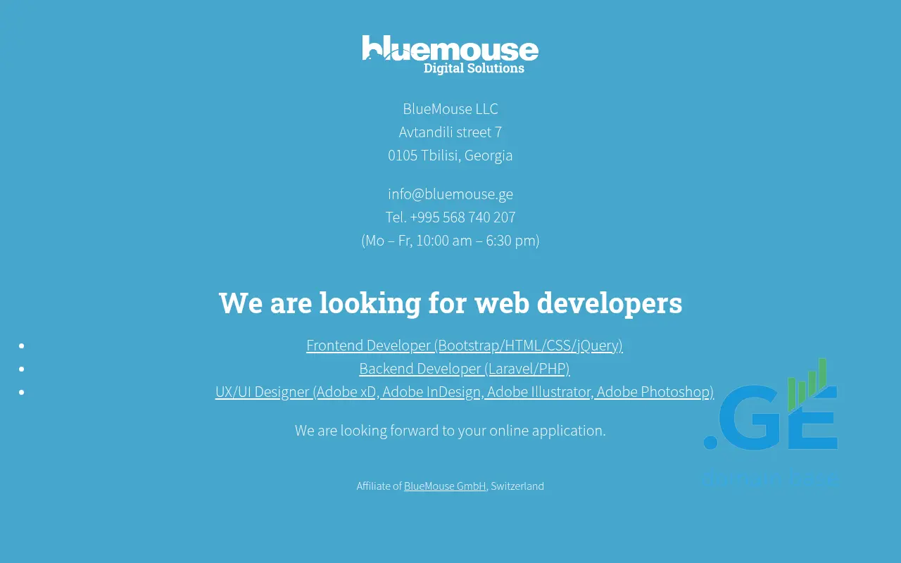 Screenshot of the site bluemouse.ge