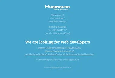 Screenshot of bluemouse.ge