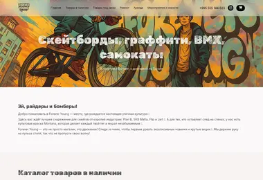 Screenshot of boardshop.ge