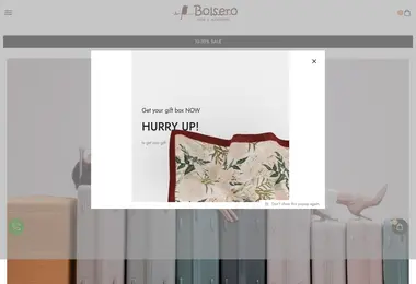Screenshot of bolsero.ge