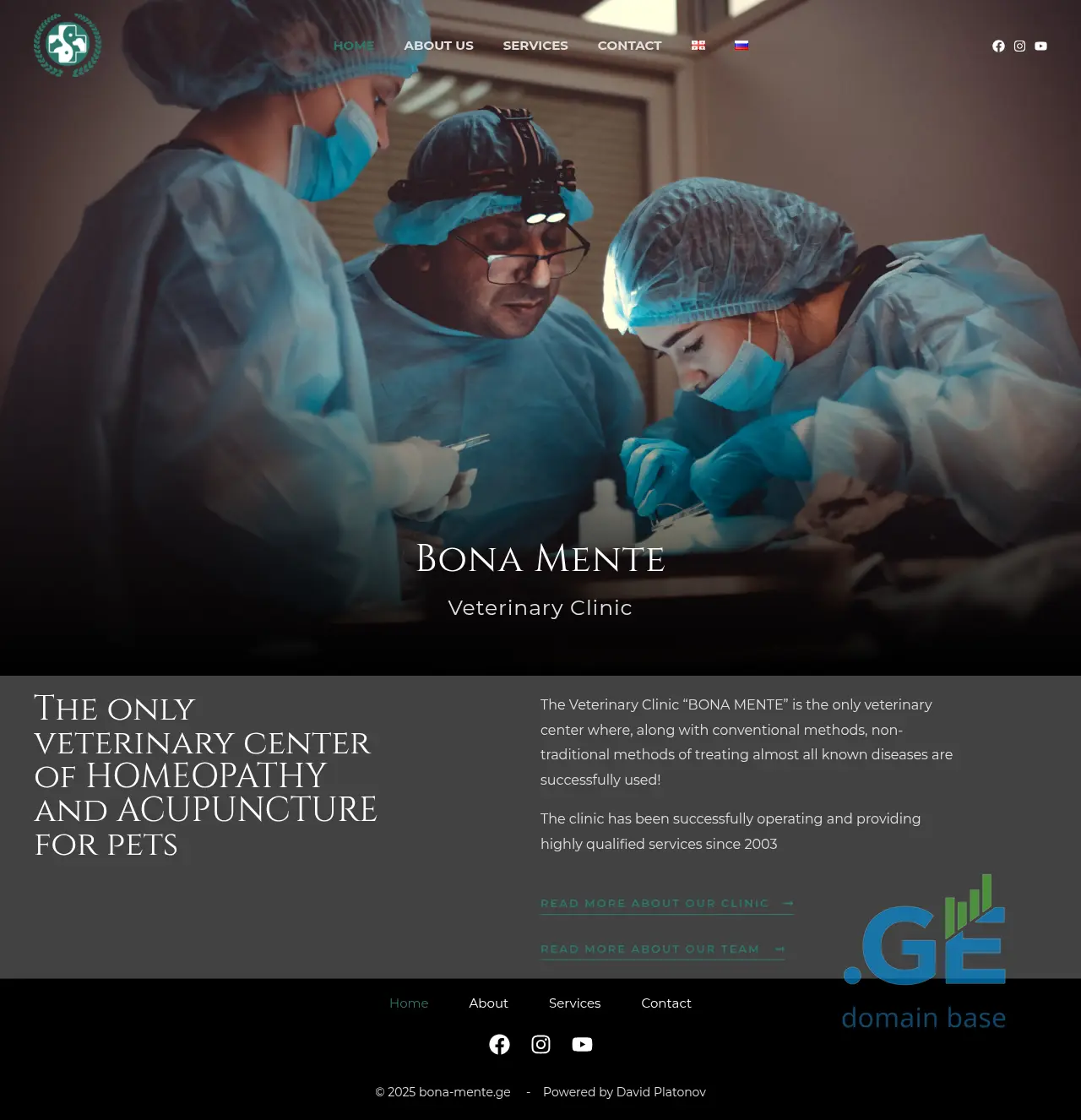 Screenshot of the site bona-mente.ge