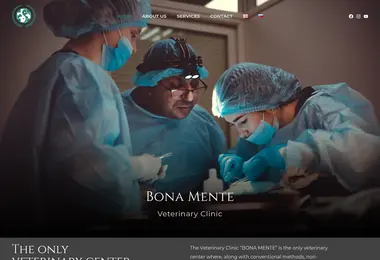 Screenshot of bona-mente.ge