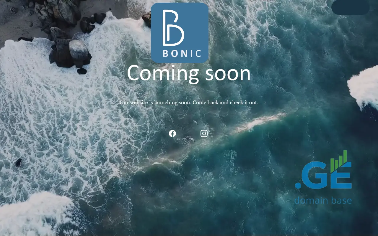 Screenshot of the site bonic.ge
