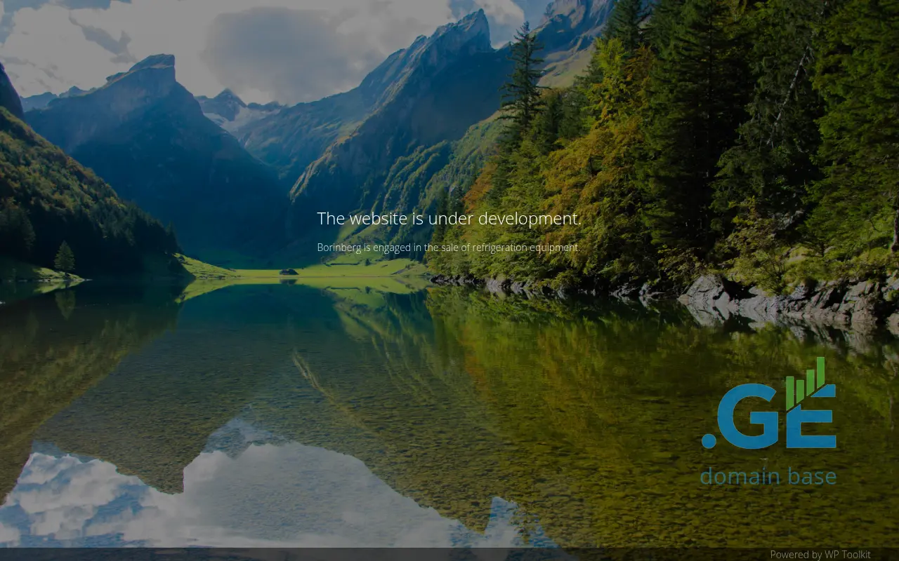 Screenshot of the site borinberg.ge