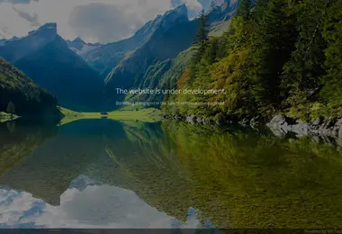 Screenshot of borinberg.ge