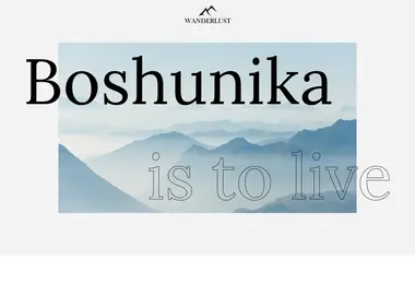 Screenshot of boshunika.ge