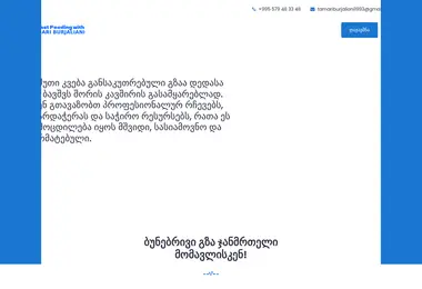 Screenshot of breastfeeding.ge