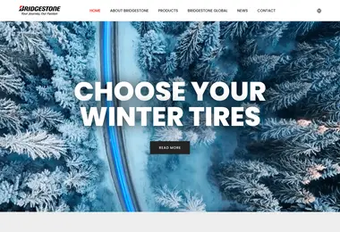 Screenshot of bridgestonegeorgia.ge