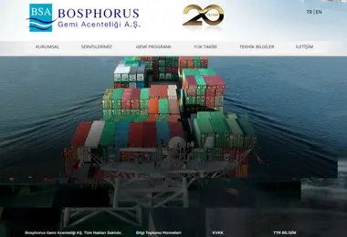 Screenshot of bsa-georgia.ge