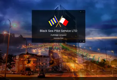 Screenshot of bsps.ge