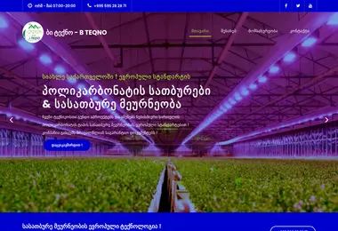 Screenshot of bteqno.ge