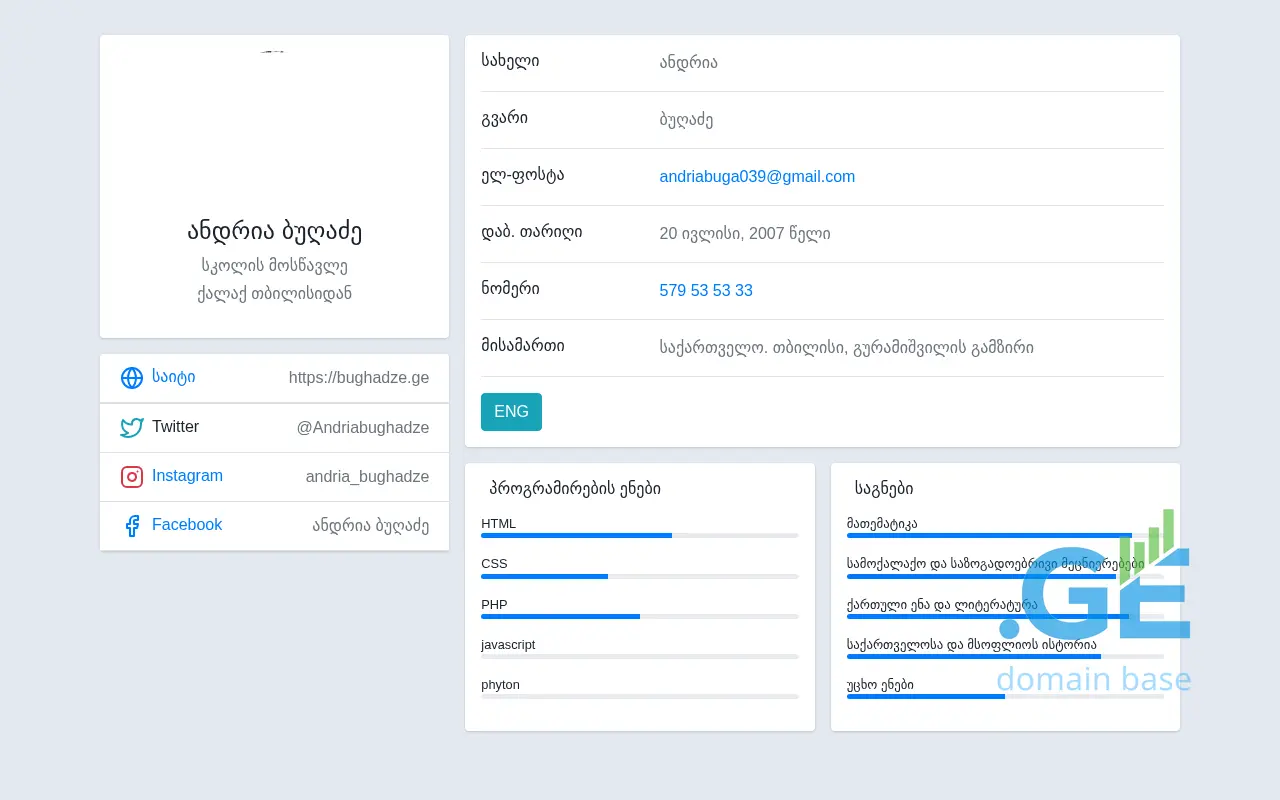 Screenshot of the site bughadze.ge