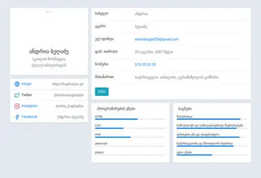 Screenshot of bughadze.ge