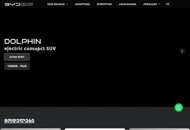 Screenshot of bydcenter.ge