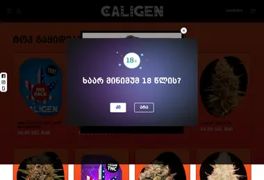 Screenshot of caligen.ge