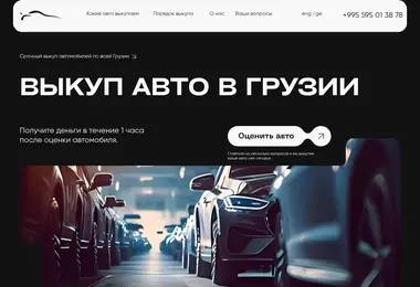 Screenshot of carbuyout.ge