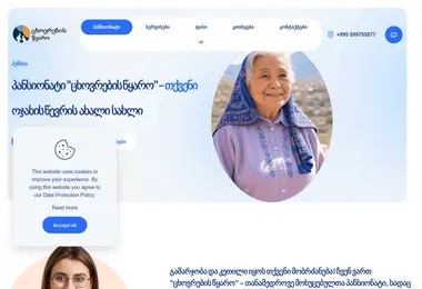 Screenshot of carehome.ge