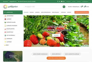 Screenshot of cartlis.ge
