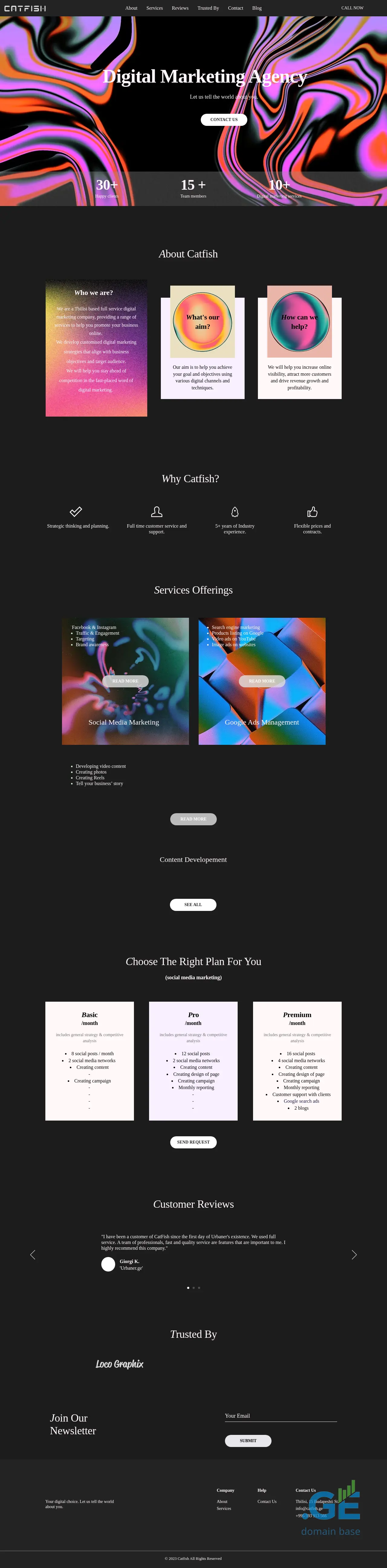 Screenshot of the site catfish.ge