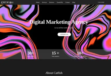 Screenshot of catfish.ge