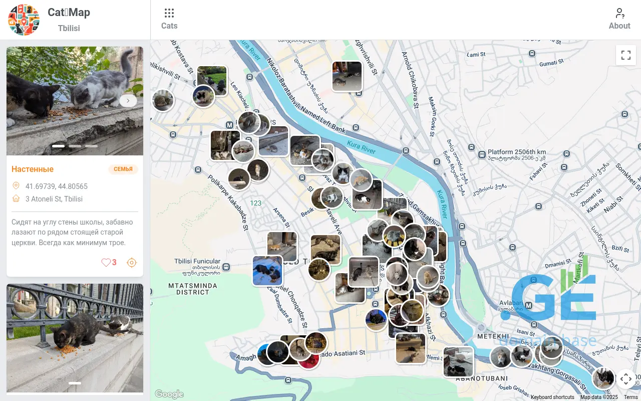 Screenshot of the site catmap.ge