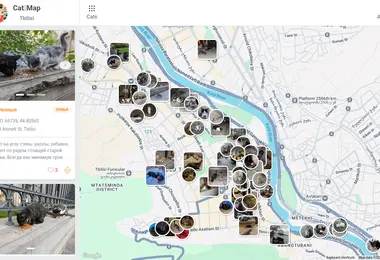 Screenshot of catmap.ge