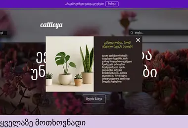Screenshot of cattleya.ge