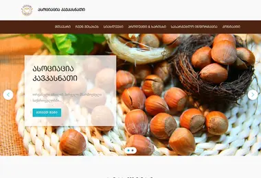 Screenshot of caucasnut.ge