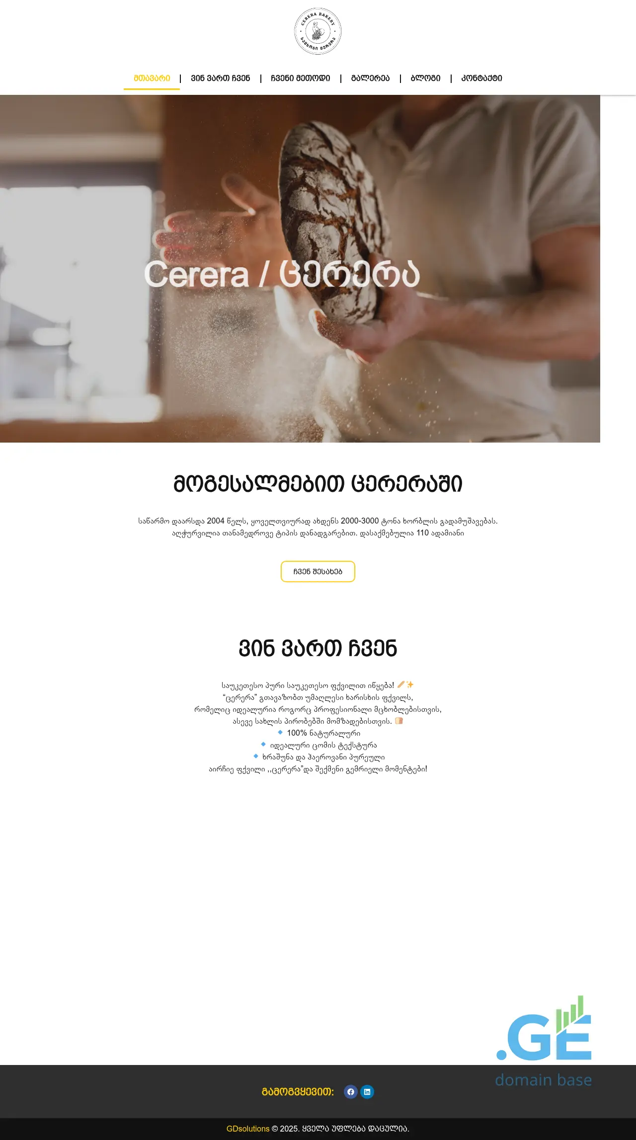 Screenshot of the site cerera.ge